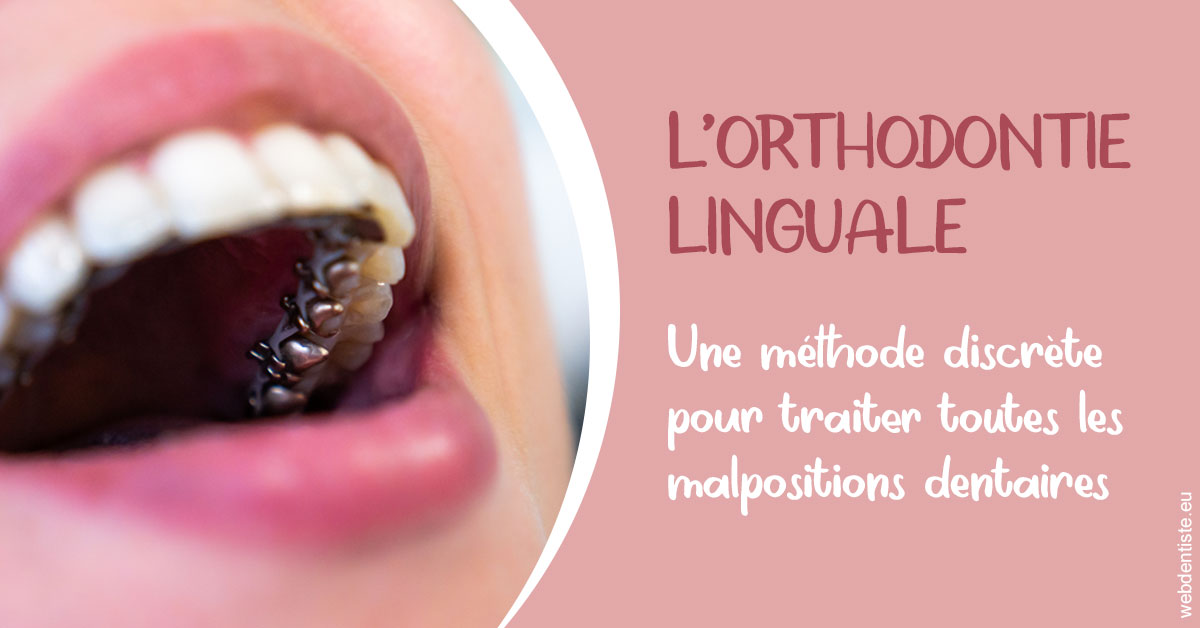 https://dr-jacques-wemaere.chirurgiens-dentistes.fr/L'orthodontie linguale 2