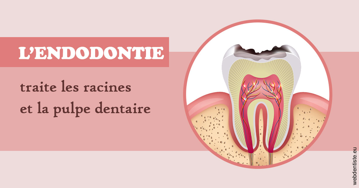 https://dr-jacques-wemaere.chirurgiens-dentistes.fr/L'endodontie 2
