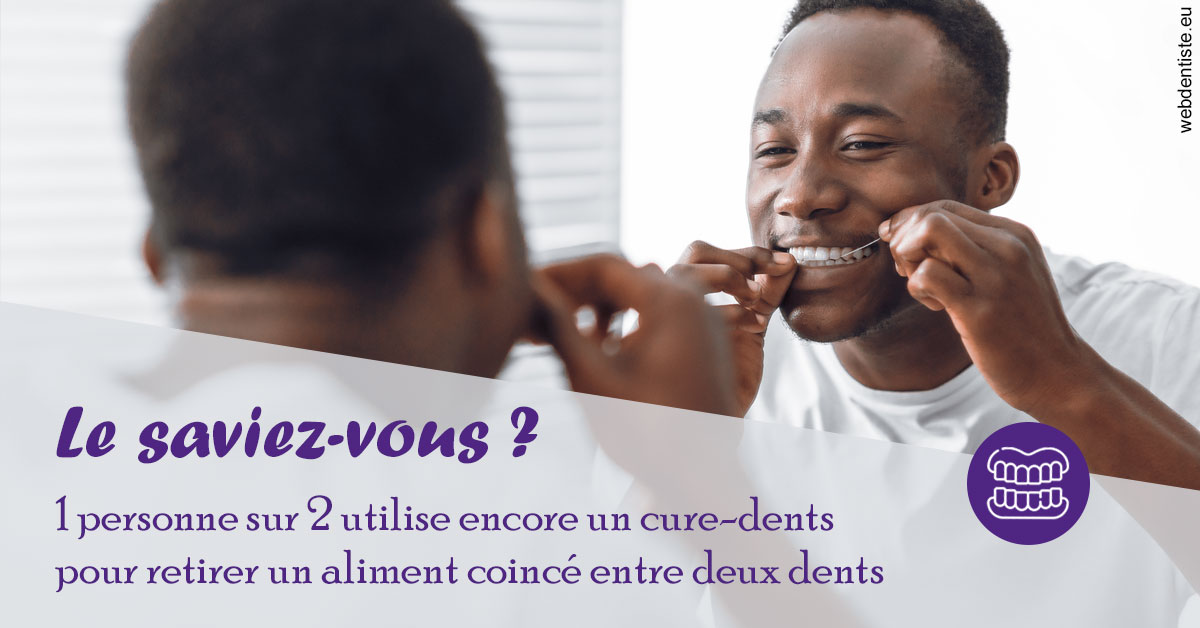 https://dr-jacques-wemaere.chirurgiens-dentistes.fr/Cure-dents 2