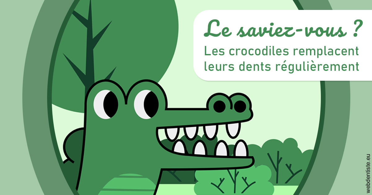 https://dr-jacques-wemaere.chirurgiens-dentistes.fr/Crocodiles 2