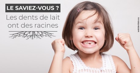 https://dr-jacques-wemaere.chirurgiens-dentistes.fr/Les dents de lait