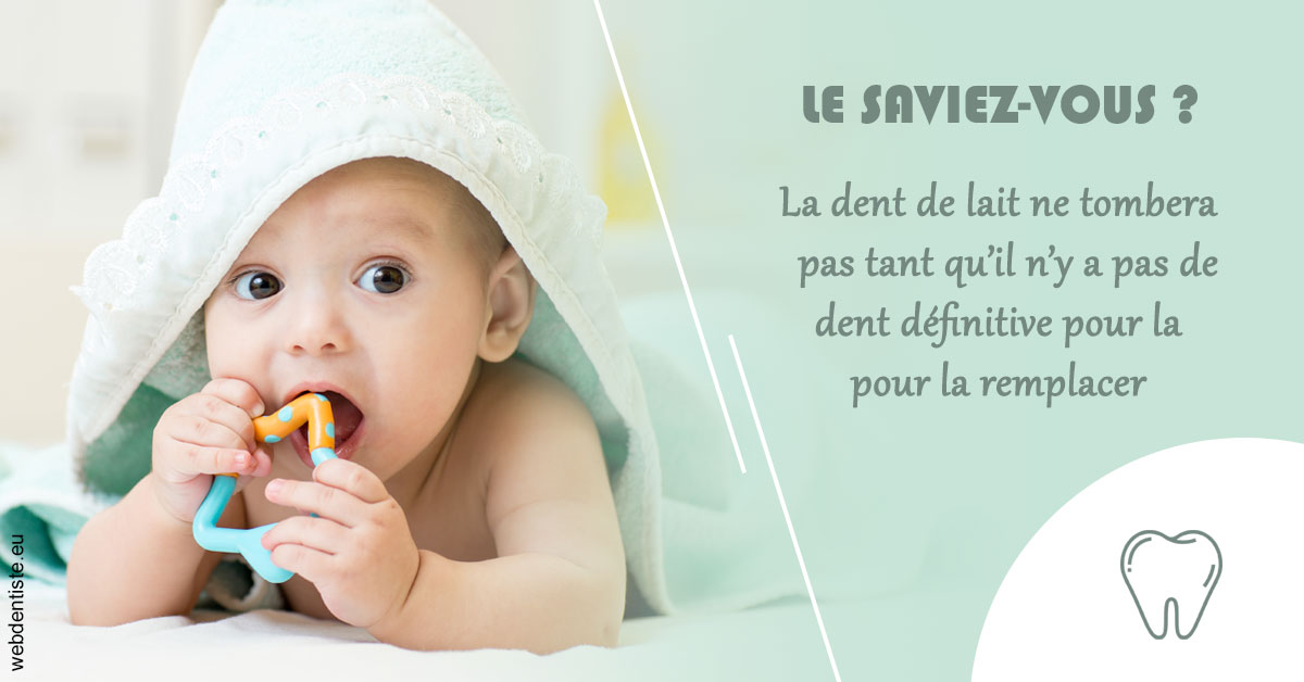 https://dr-jacques-wemaere.chirurgiens-dentistes.fr/La dent de lait 2