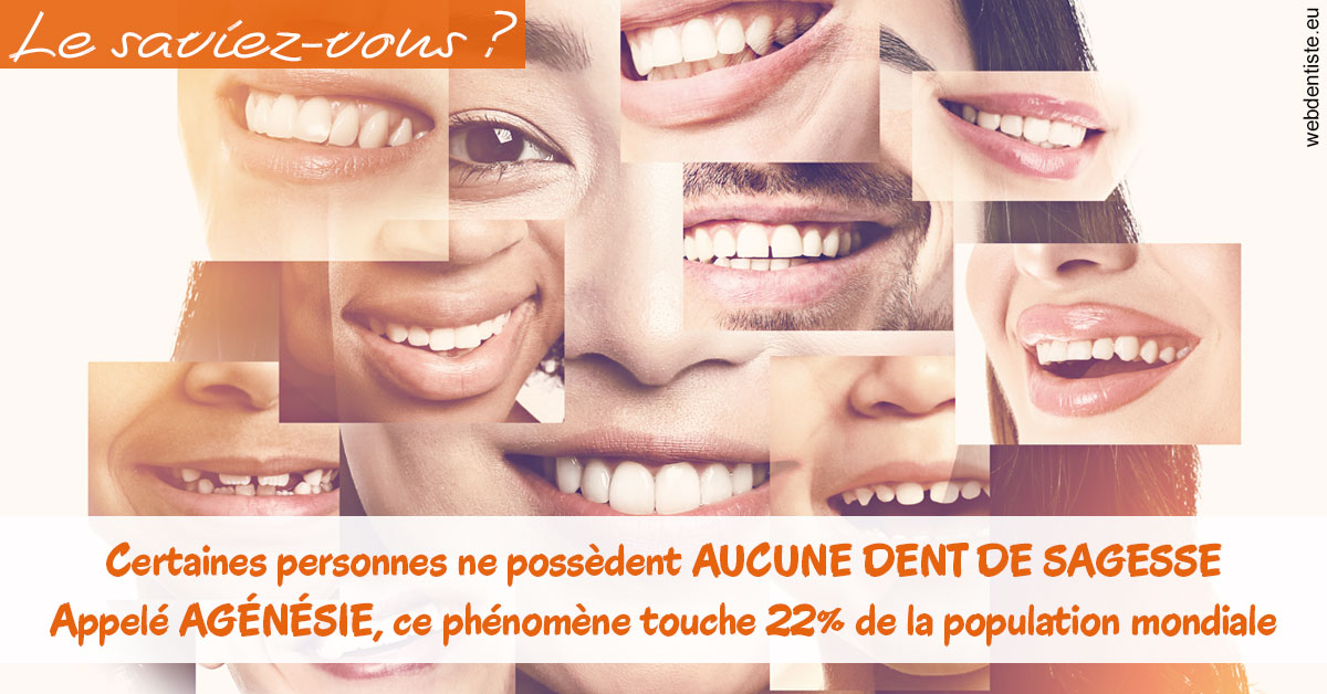 https://dr-jacques-wemaere.chirurgiens-dentistes.fr/Agénésie 2