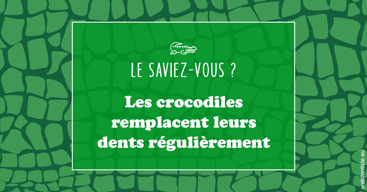 https://dr-jacques-wemaere.chirurgiens-dentistes.fr/Crocodiles 1